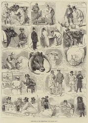 Schetsen op de Birmingham Fat Cattle Show